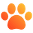 Pets