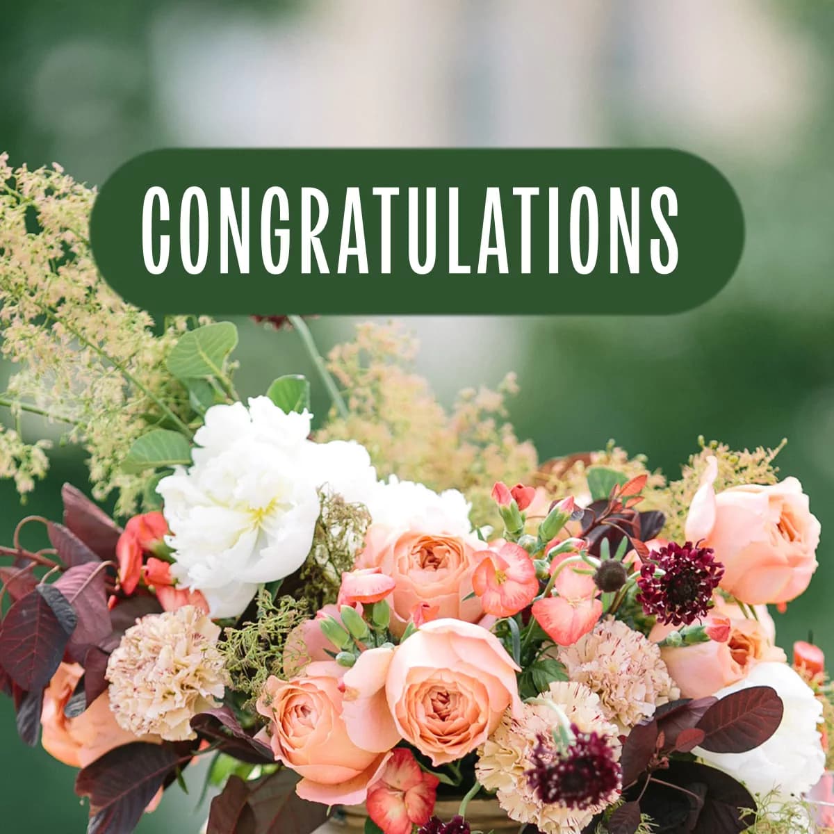 Wedding Consultation