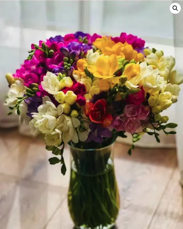 Bright & Cheerful – Designer’s Choice