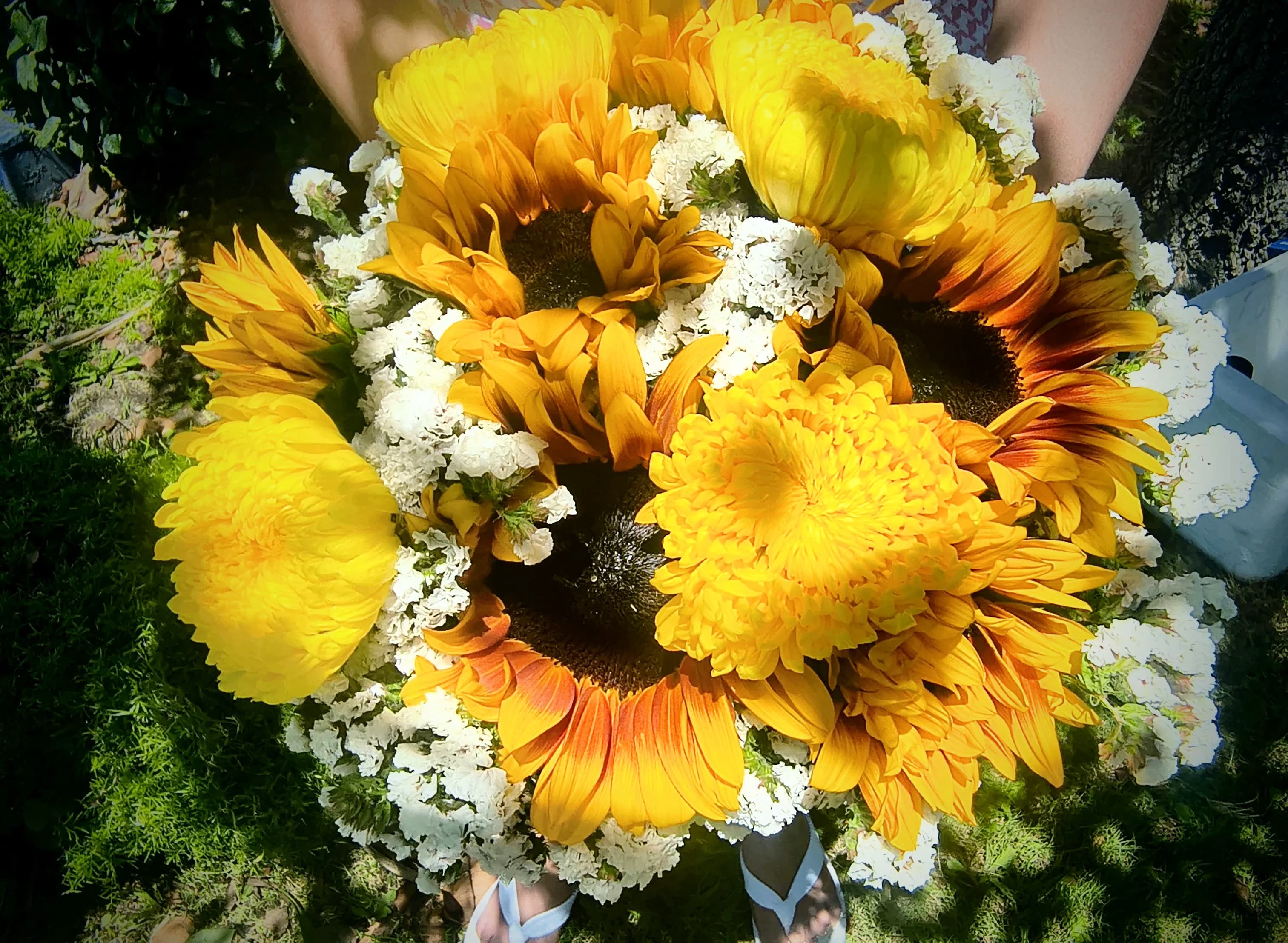 Bright Sunshiny Day 