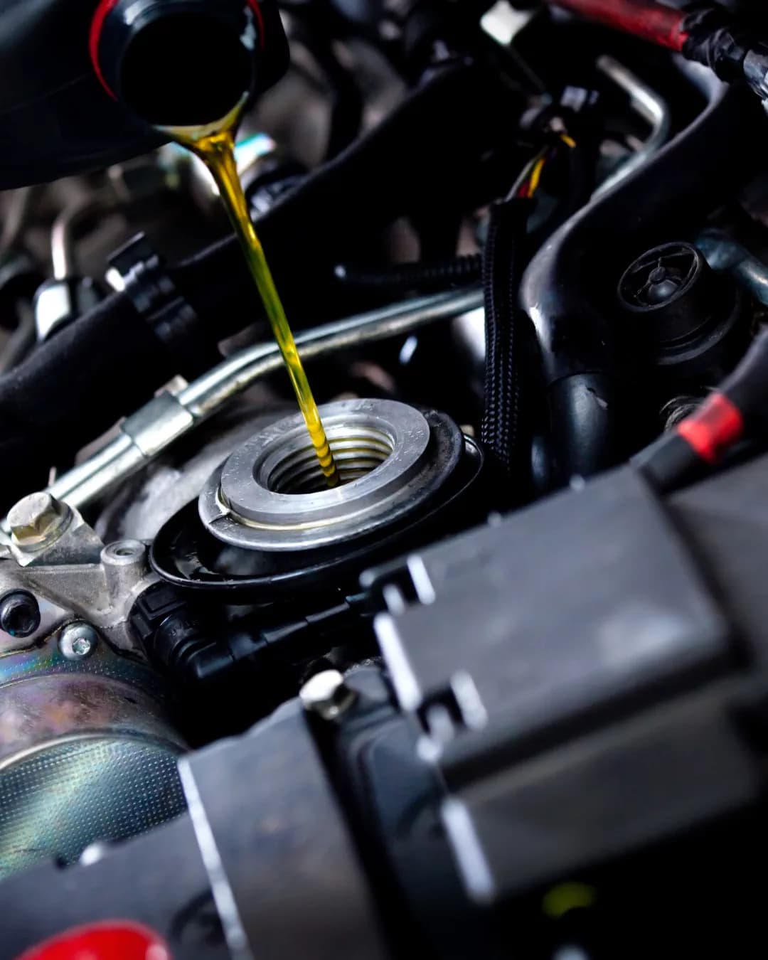 Engine & Transmission Oil Change