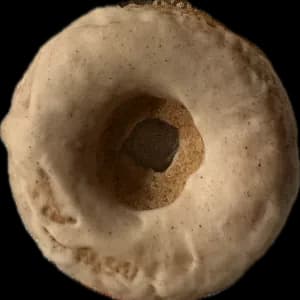 Gluten-Free Donuts