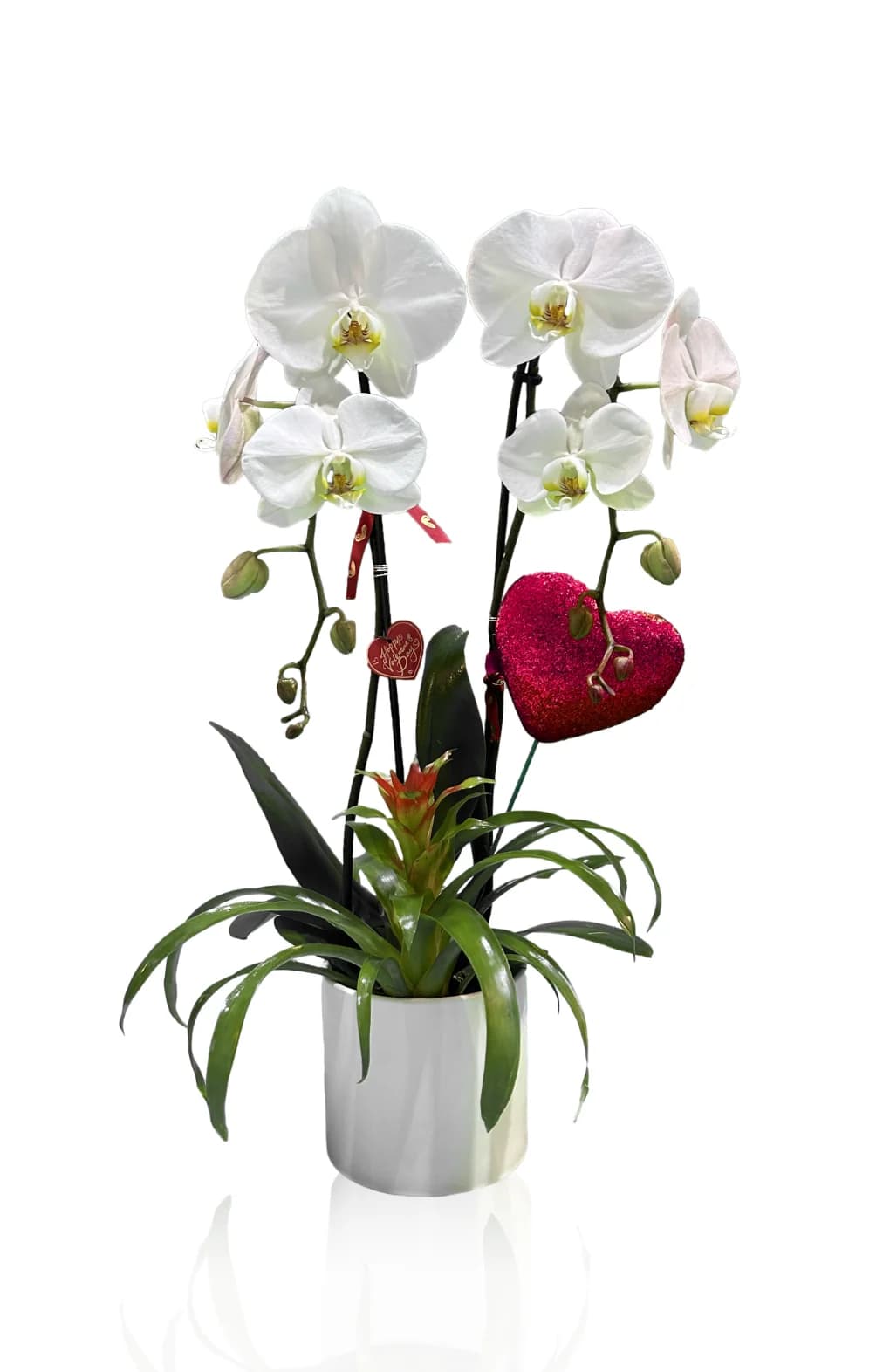 Adoration in Bloom
