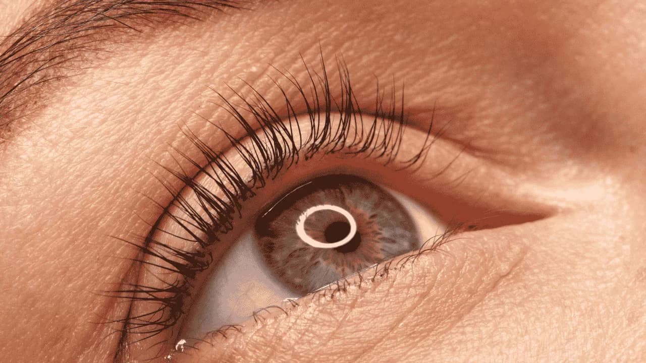 Lash Lift With Lash Tint