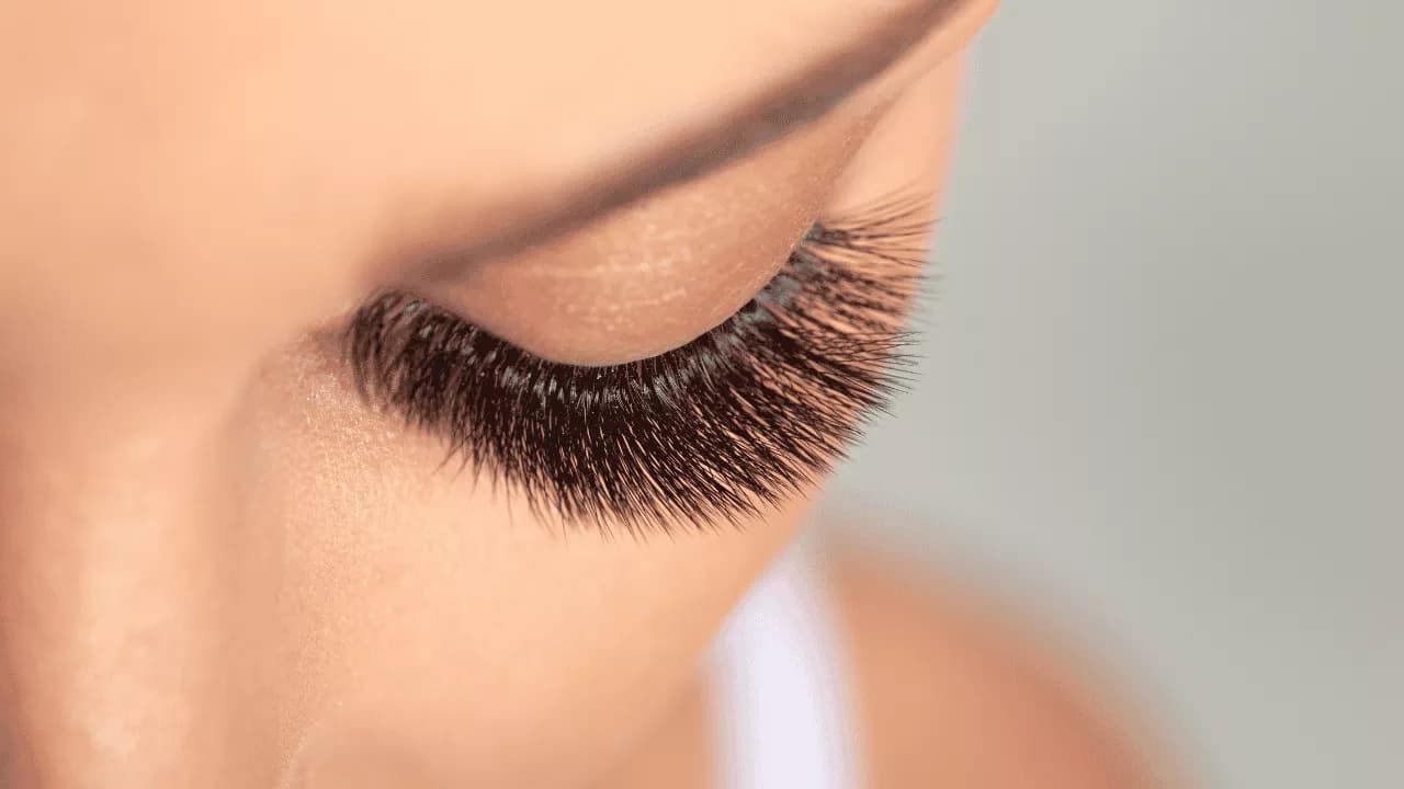 Wet Set Lashes