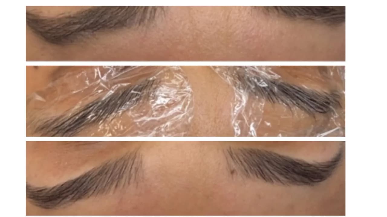 Laminated Brows