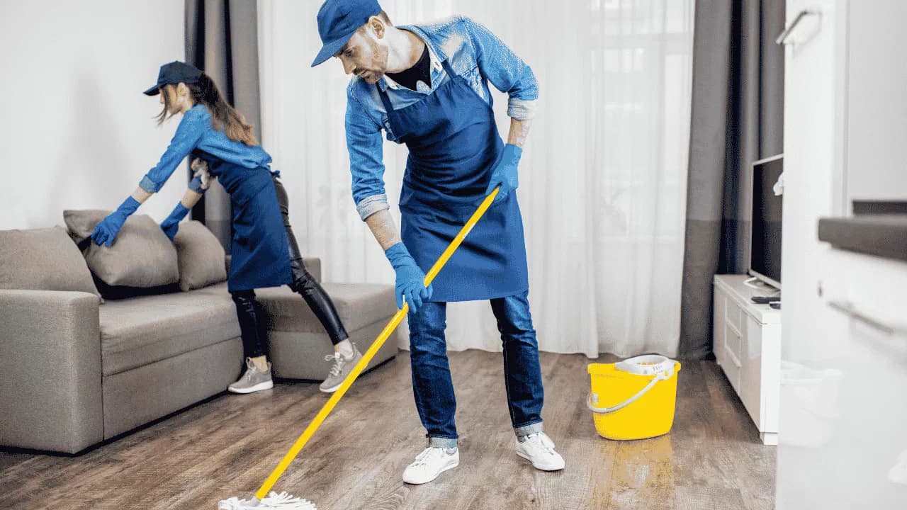 Basic Cleaning