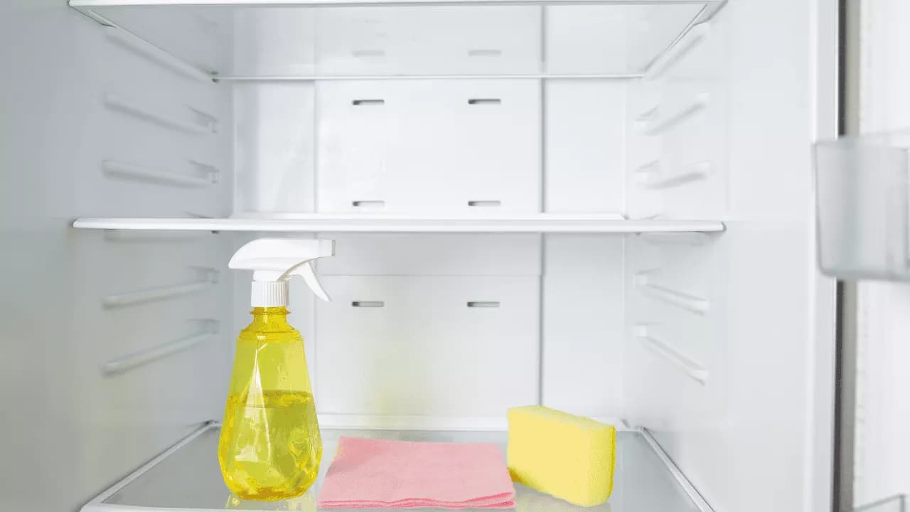 Inside Fridge