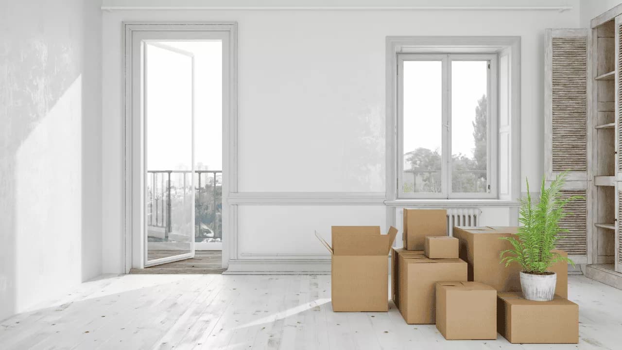 Move-In / Move-Out Cleaning