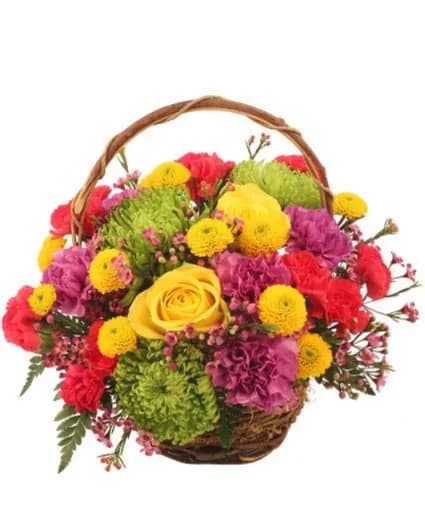 COLORFULNESS BOUQUET