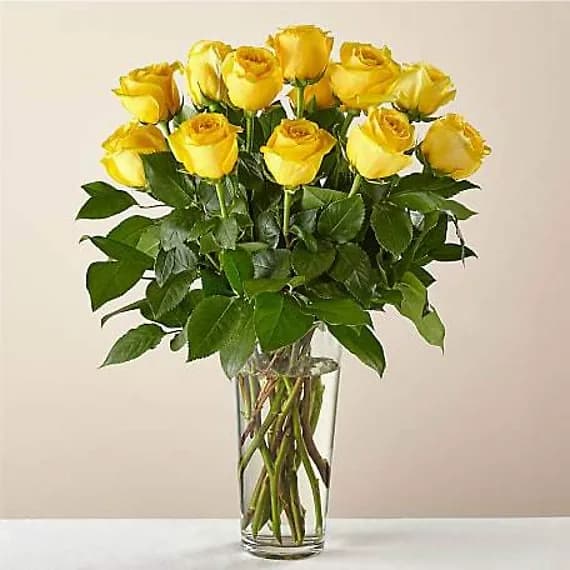 Long Stem Yellow Roses
