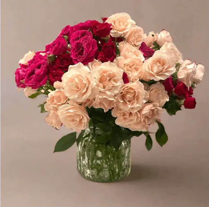 Everything's Coming Up Roses - 100 Spray Rose Blooms