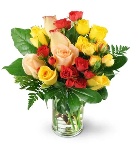 Rosey Delight