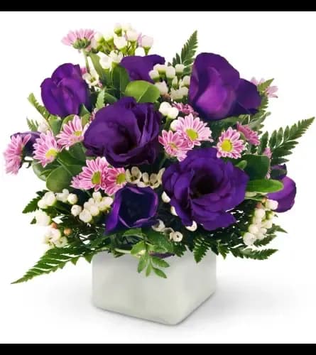 Purple and Pink Wishes 