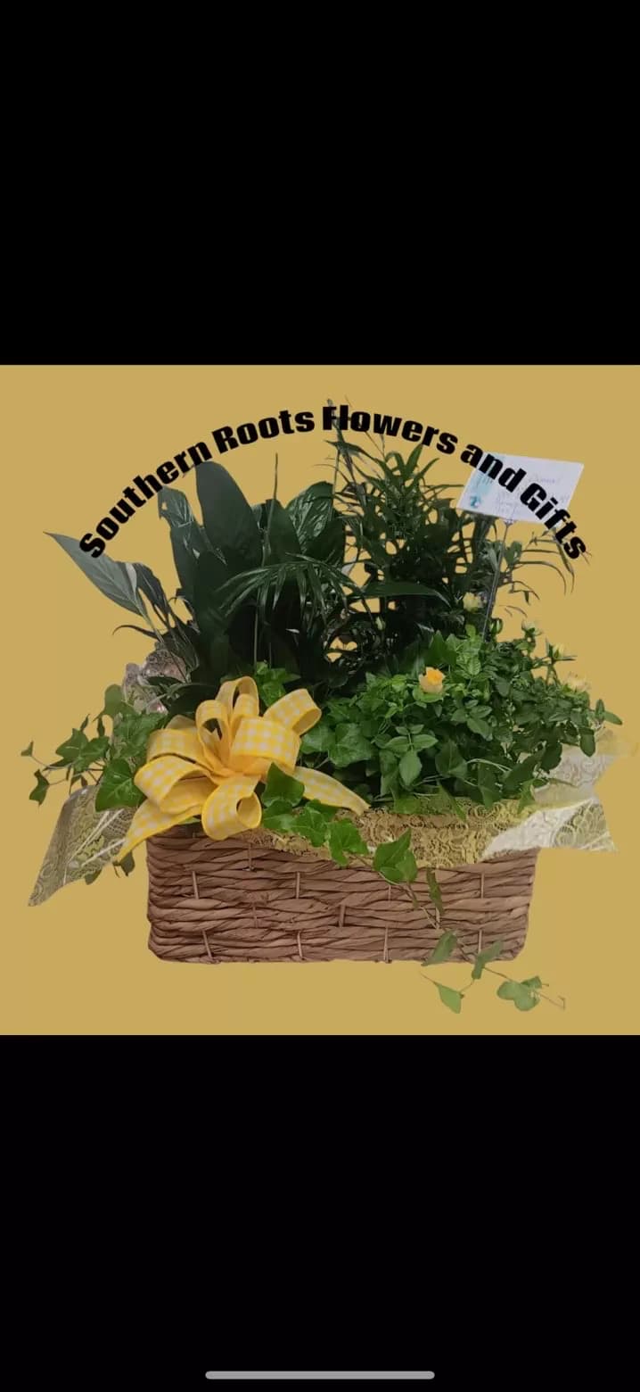 Dish garden basket