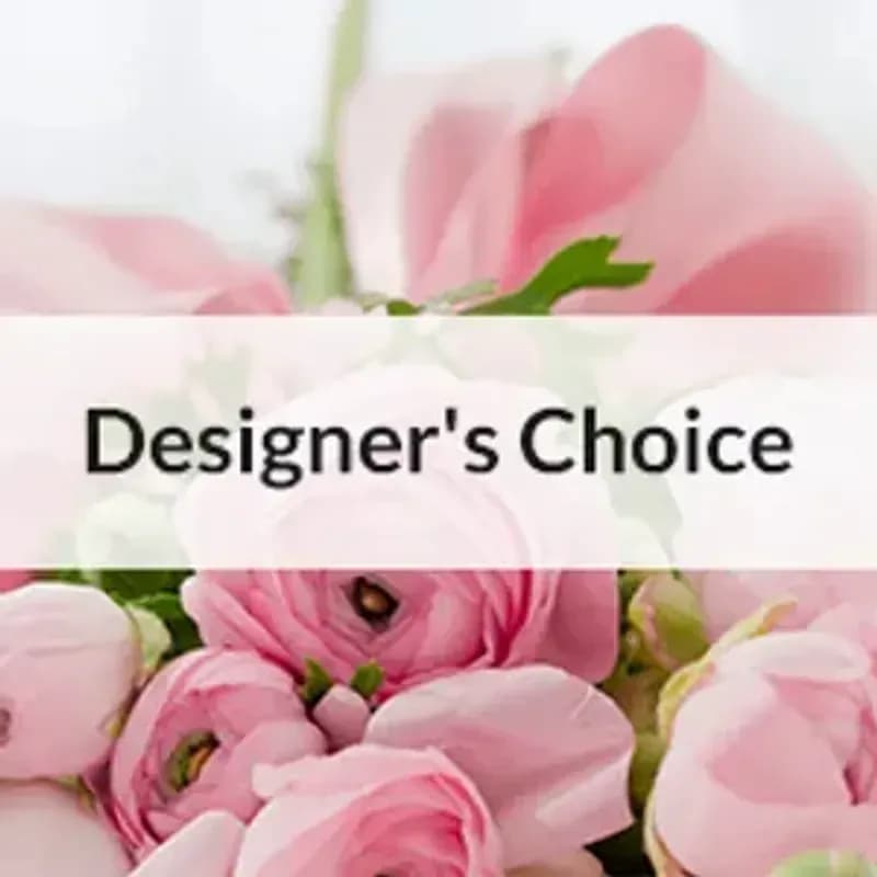 Designer's Choice