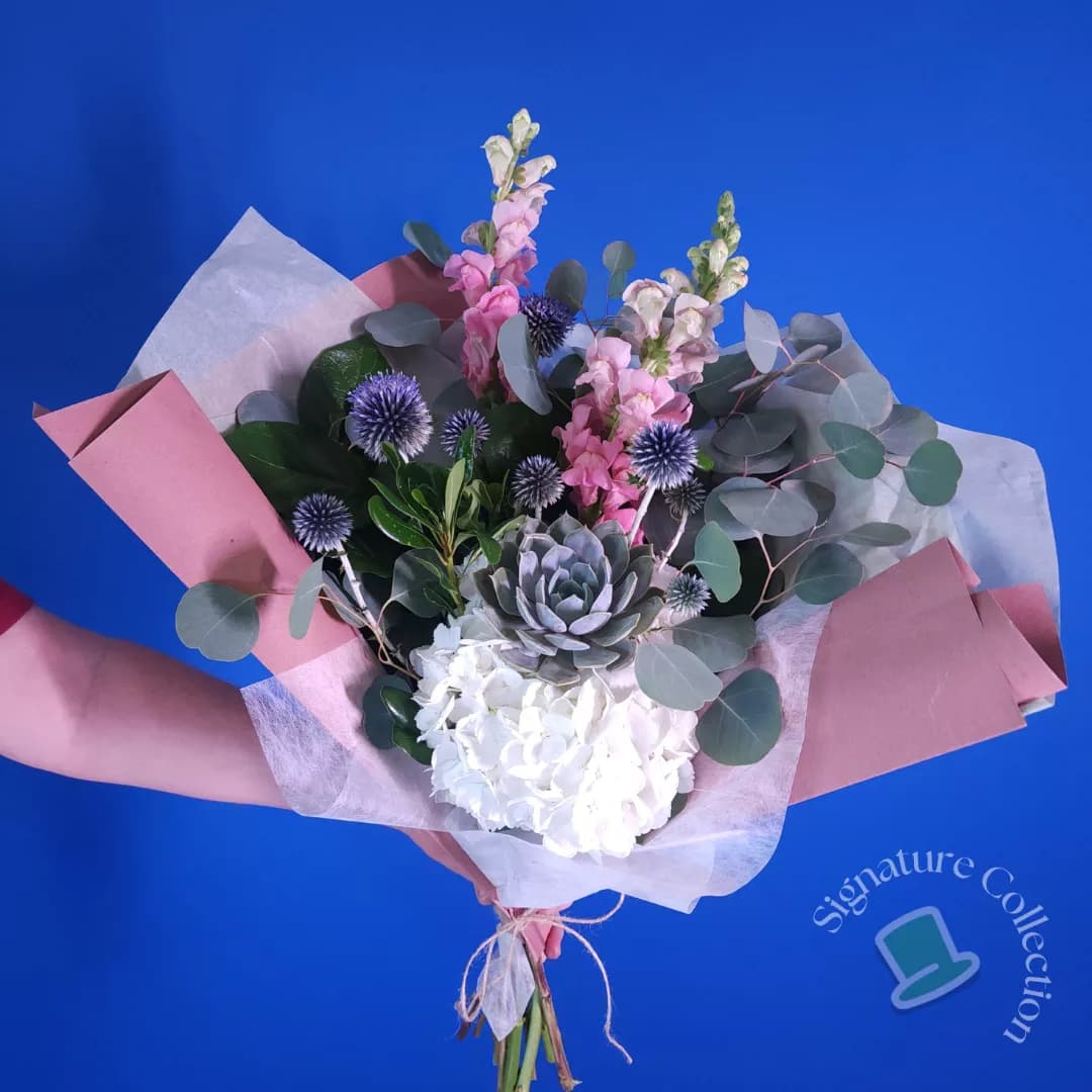 Sustainable Succulent & Daisy Arrangement
