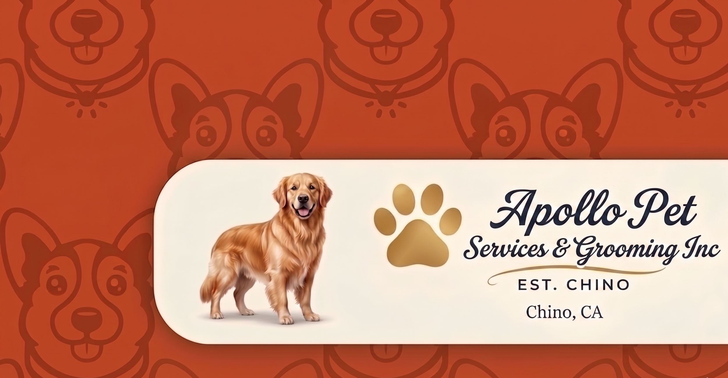 Apollo Pet Grooming business card featuring a golden retriever and a paw print logo on an orange background.